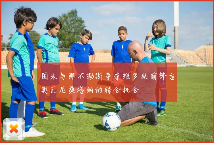 国米与那不勒斯争夺维罗纳前锋吉奥瓦尼桑塔纳的转会机会