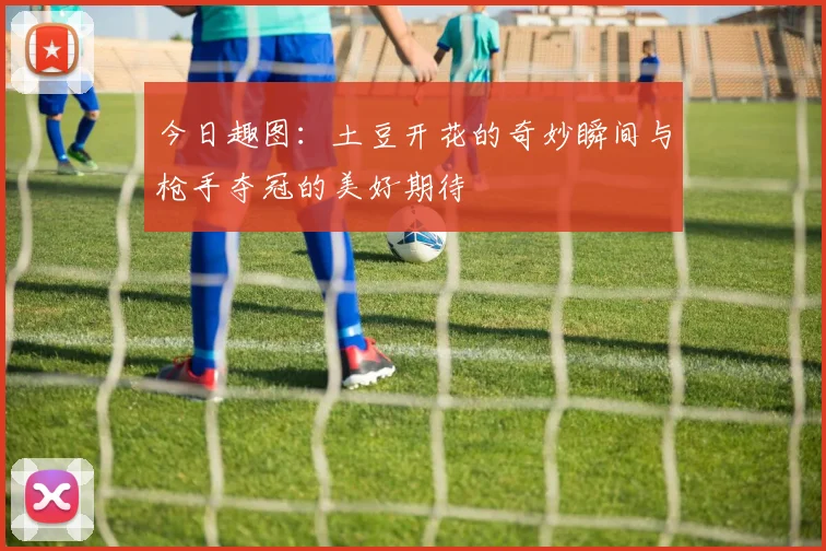 今日趣图：土豆开花的奇妙瞬间与枪手夺冠的美好期待