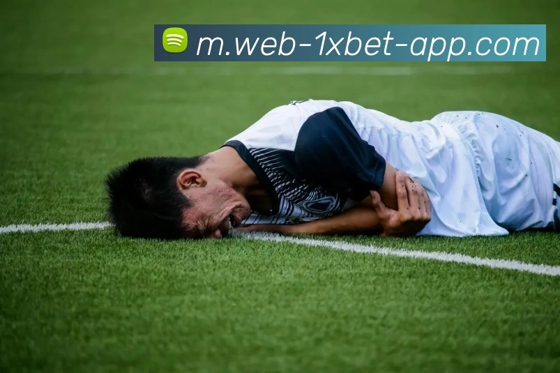 扫码下载 App
